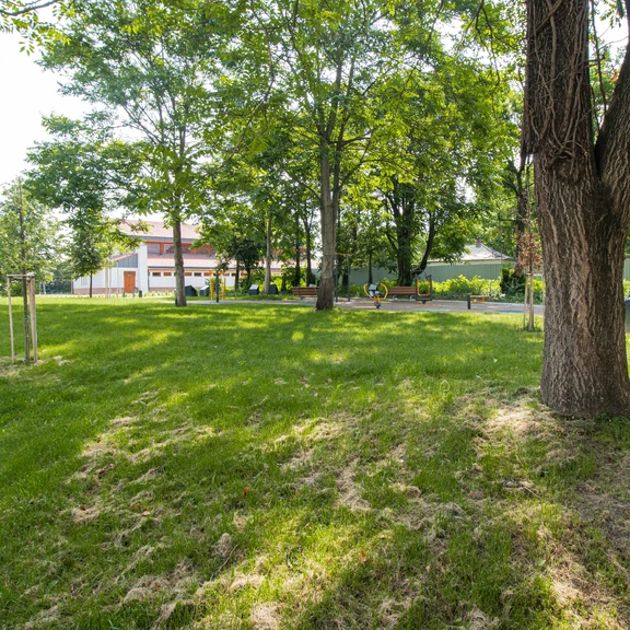 _MG_5951